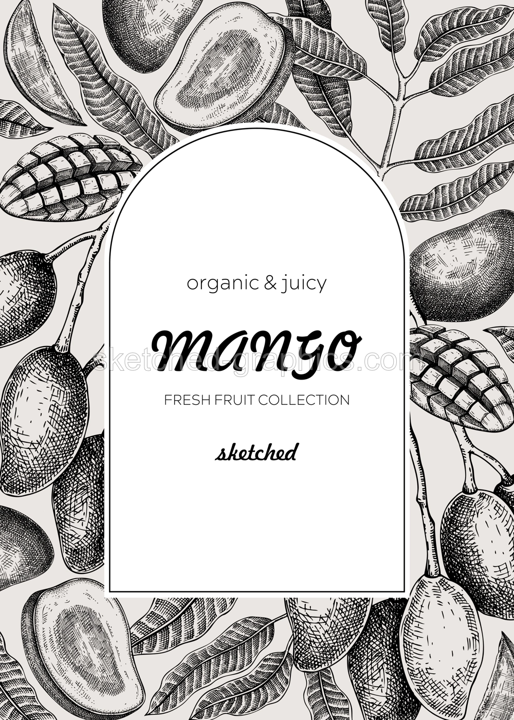 Fruit design template. Realistic mango hand-drawn vector illustration. Mango fruit,  tree branches, leaves sketches. Vintage frame, juice packaging, print. Healthy food, summer design element Illustration